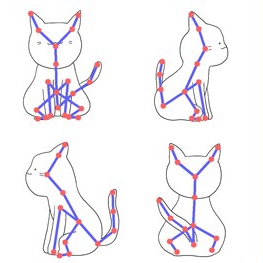 Cat input